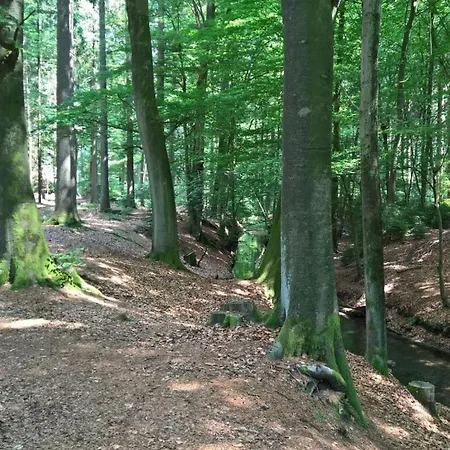 Schuberski Comfortable * Oerlinghausen